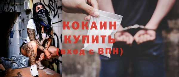 тгк Арсеньев