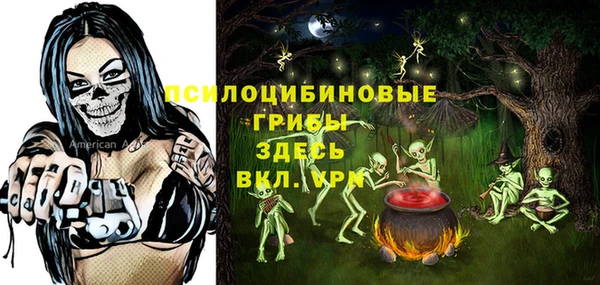 тгк Арсеньев