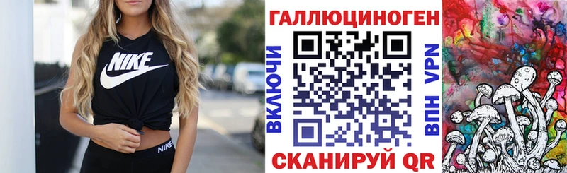 купить наркотики цена  Городище  Галлюциногенные грибы Psilocybine cubensis 
